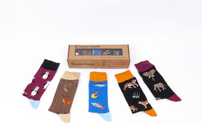 Men's 5-Pair Luxury Colorful Cotton Novelty Dress Socks Gift Set